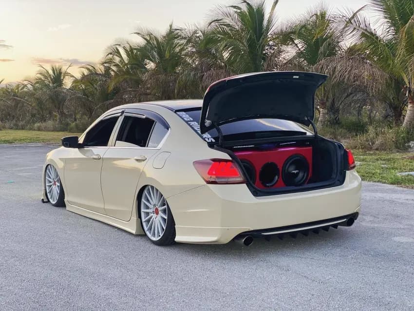 Customer Submitted Image #55